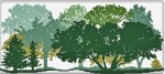 (image for) Foresta D"Estate (Summer Forest)